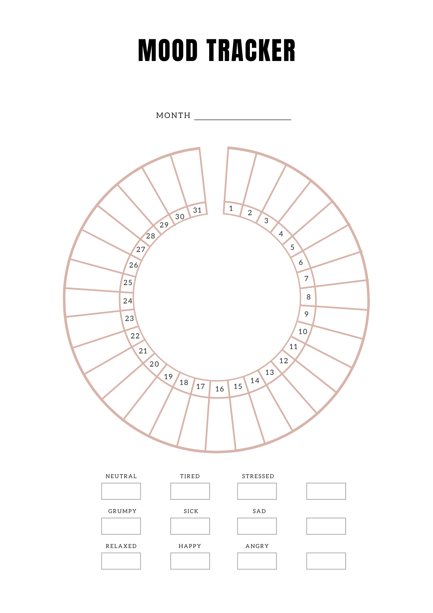 Planning Soins médicaux - Journal 30 pages