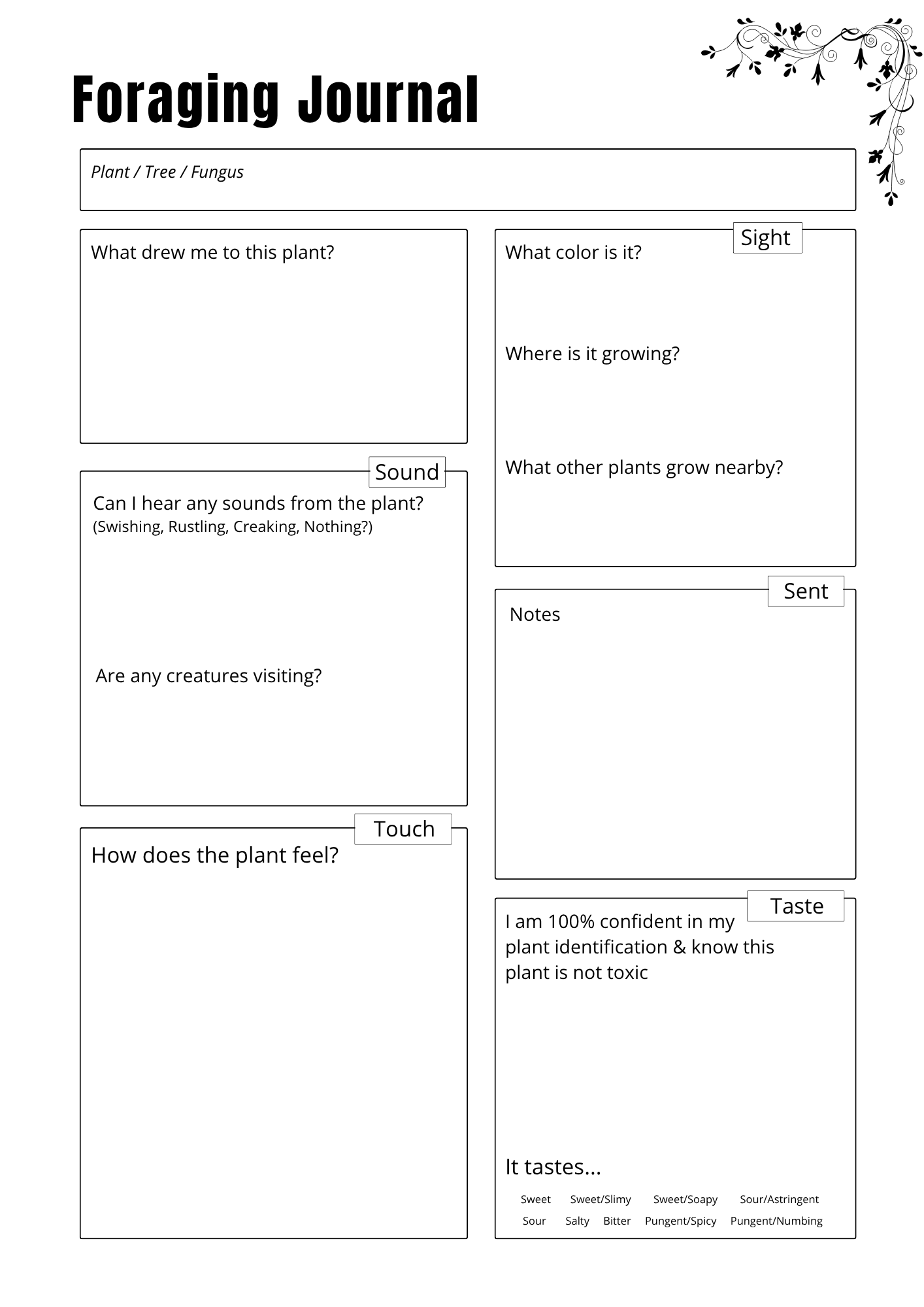 Journal Herbes & Huiles Essentielles - 20 pages - LADY BOSS TEMPLATES