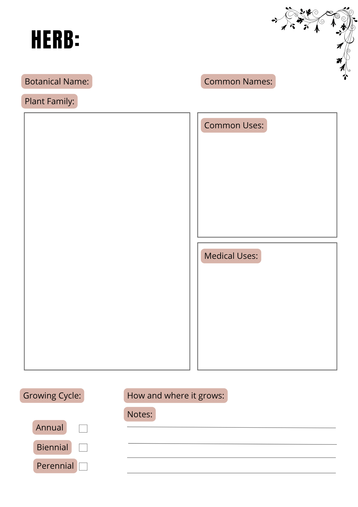 Journal Herbes & Huiles Essentielles - 20 pages - LADY BOSS TEMPLATES