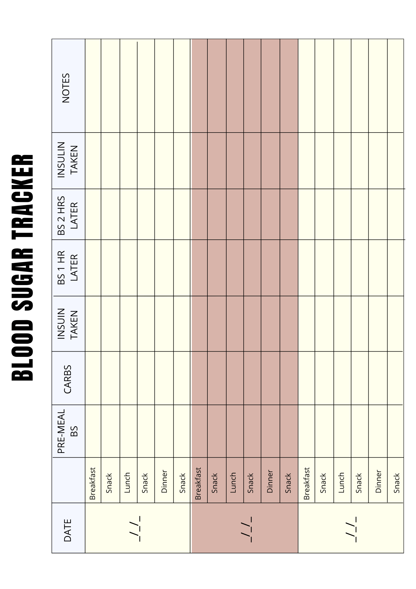 Planning Glycémie - Journal 36 pages - LADY BOSS TEMPLATES