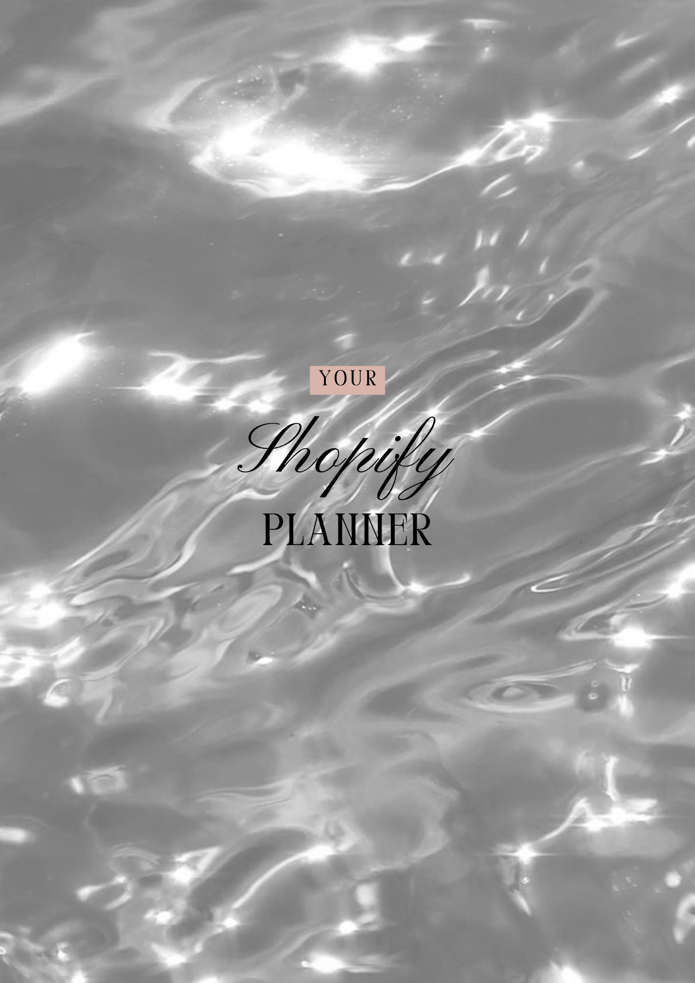 Shopify Planner - Guide pas - à - pas 41 pages - LADY BOSS TEMPLATES