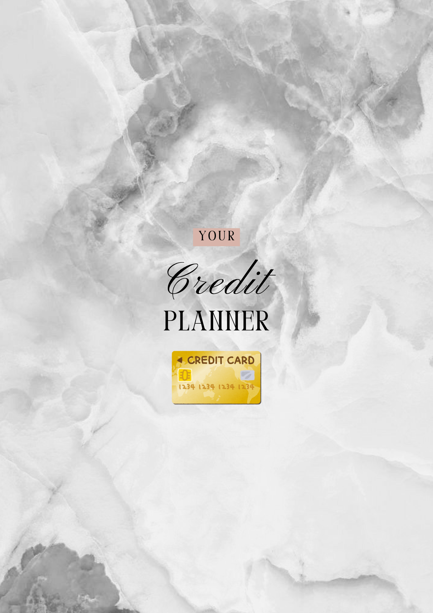 Suivi de Crédit - 11 pages - LADY BOSS TEMPLATES